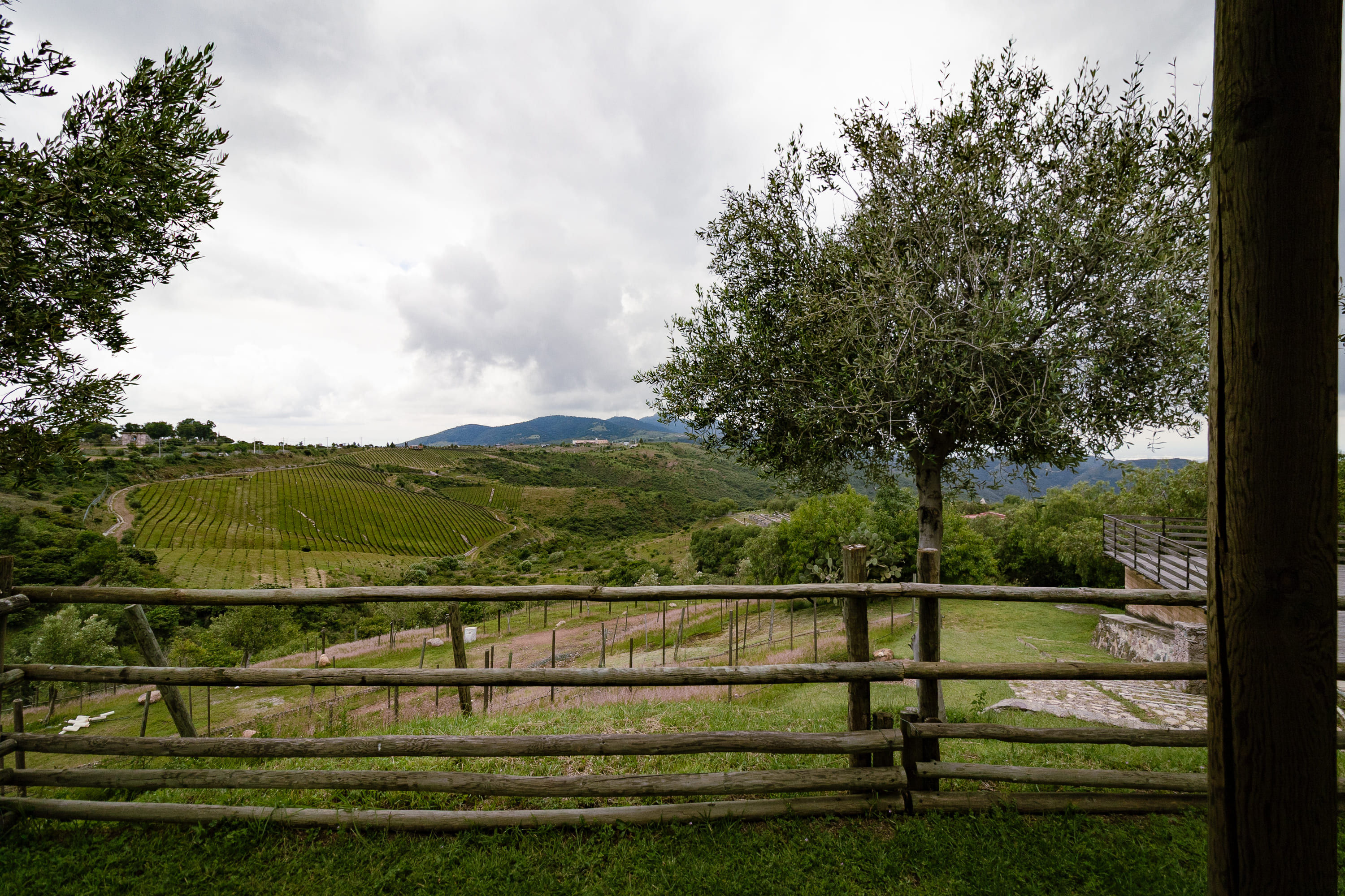 Escenario Terraza Malbec